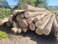 img-20260908-wa0020.jpg