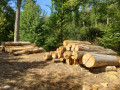 img-20260909-wa0005.jpg