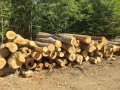 img-20260909-wa0006.jpg