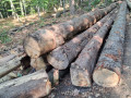 img-20260908-wa0004.jpg