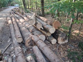 img-20260908-wa0006.jpg