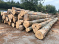 img-20260914-wa0000.jpg