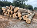 img-20260914-wa0001.jpg
