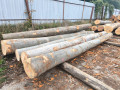img-20260914-wa0003.jpg