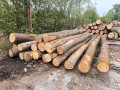 img-20260914-wa0005.jpg