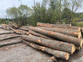 img-20260914-wa0004.jpg