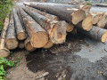 img-20260914-wa0010.jpg