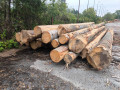 img-20260914-wa0011.jpg