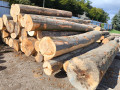 img-20260921-wa0002.jpg