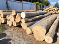 img-20260921-wa0001.jpg