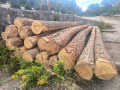 img-20260921-wa0003.jpg