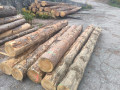 img-20260921-wa0005.jpg