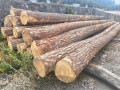 img-20260921-wa0004.jpg
