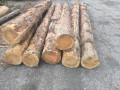 img-20260921-wa0006.jpg