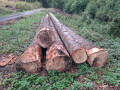 img-20260920-wa0025.jpg