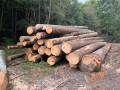 img-20260921-wa0002.jpg