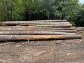 img-20260921-wa0000.jpg