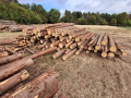 img-20260921-wa0052.jpg