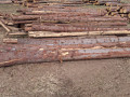 img-20260921-wa0048.jpg
