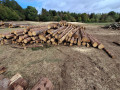 img-20260921-wa0050.jpg