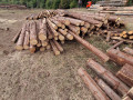 img-20260921-wa0053.jpg