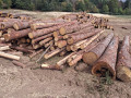 img-20260921-wa0051.jpg