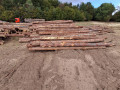 img-20260921-wa0054.jpg