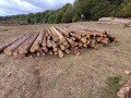 img-20260921-wa0049.jpg