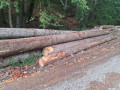 img-20260921-wa0063.jpg
