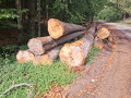 img-20260921-wa0065.jpg