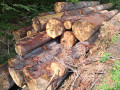 img-20260921-wa0066.jpg