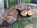 img-20260921-wa0067.jpg