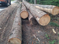 img-20260921-wa0069.jpg