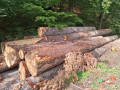 img-20260921-wa0070.jpg