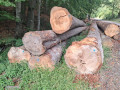 img-20260921-wa0062.jpg