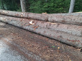 img-20260921-wa0064.jpg