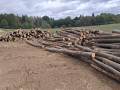 img-20260921-wa0059.jpg