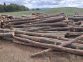 img-20260921-wa0057.jpg
