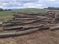 img-20260921-wa0055.jpg