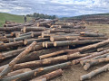 img-20260921-wa0056.jpg