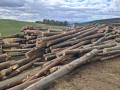 img-20260921-wa0058.jpg