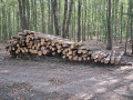 img-20260921-wa0034.jpg