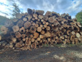 img-20260921-wa0016.jpg