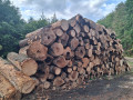 img-20260921-wa0017.jpg