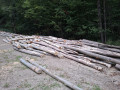 20260910_182754.jpg