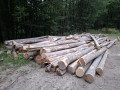 20260910_182814.jpg