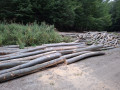 20260910_182802.jpg