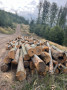 img-20260917-wa0019.jpg