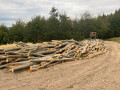 img-20260917-wa0017.jpg
