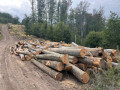 img-20260917-wa0018.jpg